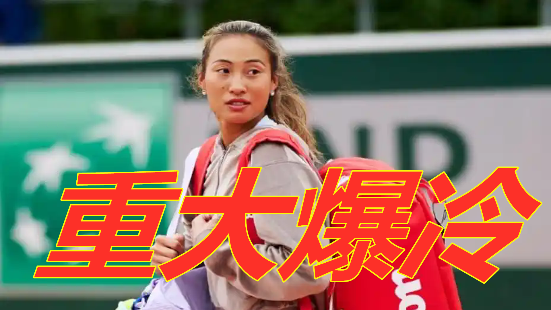 但最终德国 但最终德国