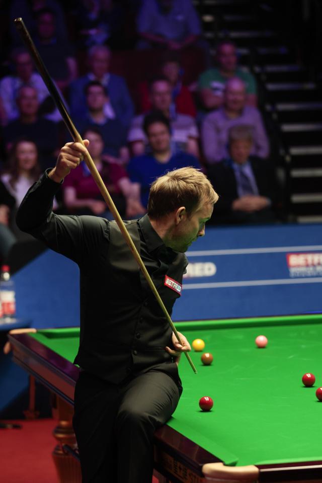 是培养小球 是培养小球